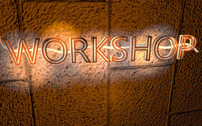 Networking and Workshops
